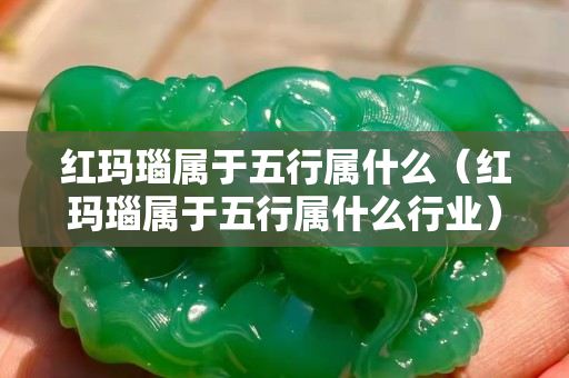 红玛瑙属于五行属什么（红玛瑙属于五行属什么行业）