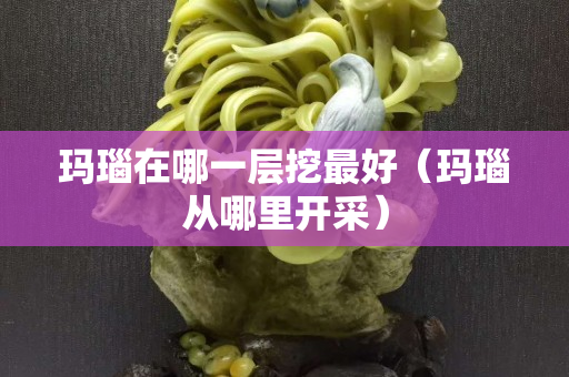 玛瑙在哪一层挖最好（玛瑙从哪里开采）