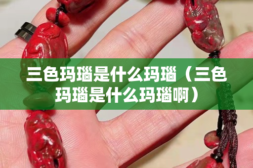 三色玛瑙是什么玛瑙（三色玛瑙是什么玛瑙啊）
