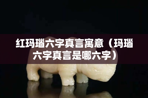 红玛瑙六字真言寓意（玛瑙六字真言是哪六字）
