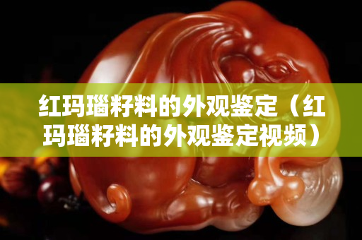 红玛瑙籽料的外观鉴定（红玛瑙籽料的外观鉴定视频）