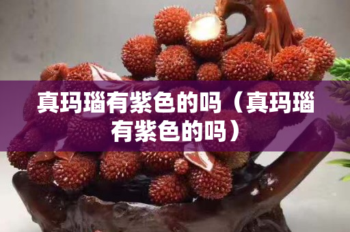 真玛瑙有紫色的吗（真玛瑙有紫色的吗）