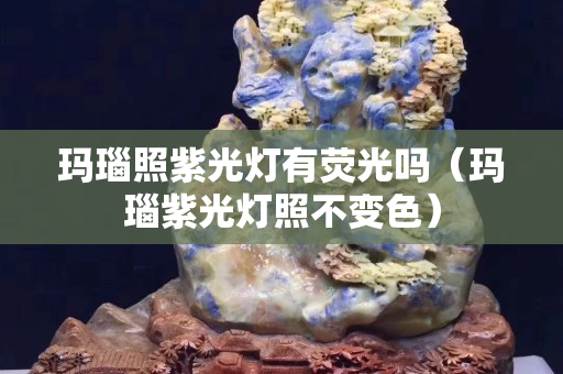 玛瑙照紫光灯有荧光吗（玛瑙紫光灯照不变色）