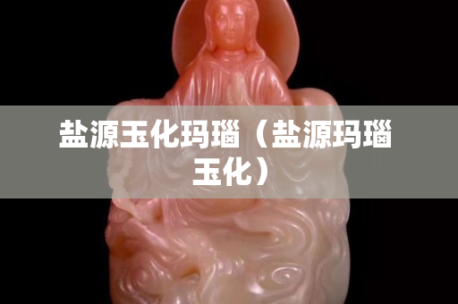 盐源玉化玛瑙（盐源玛瑙 玉化）