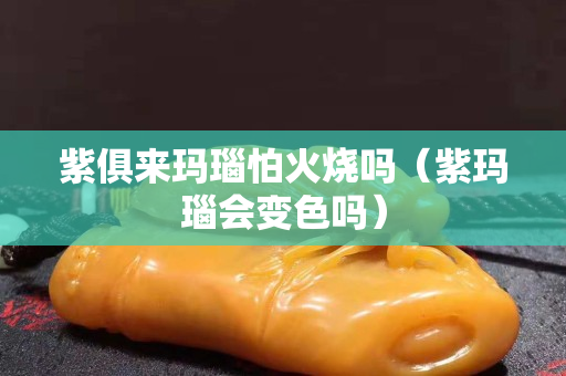 紫俱来玛瑙怕火烧吗（紫玛瑙会变色吗）