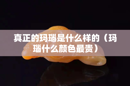 真正的玛瑙是什么样的（玛瑙什么颜色最贵）