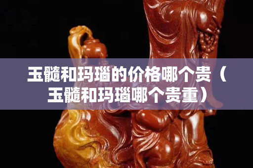 玉髓和玛瑙的价格哪个贵（玉髓和玛瑙哪个贵重）