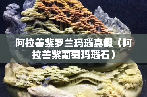 阿拉善紫罗兰玛瑙真假（阿拉善紫葡萄玛瑙石）