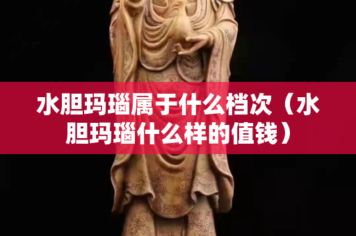 水胆玛瑙属于什么档次（水胆玛瑙什么样的值钱）