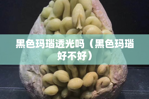 黑色玛瑙透光吗（黑色玛瑙好不好）