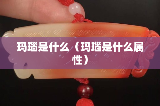 玛瑙是什么（玛瑙是什么属性）