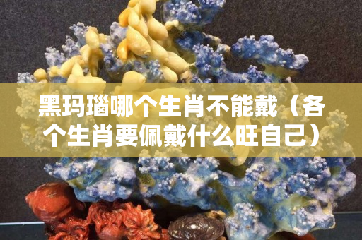 黑玛瑙哪个生肖不能戴（各个生肖要佩戴什么旺自己）
