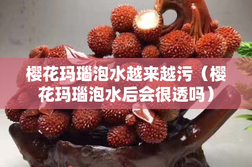 樱花玛瑙泡水越来越污（樱花玛瑙泡水后会很透吗）