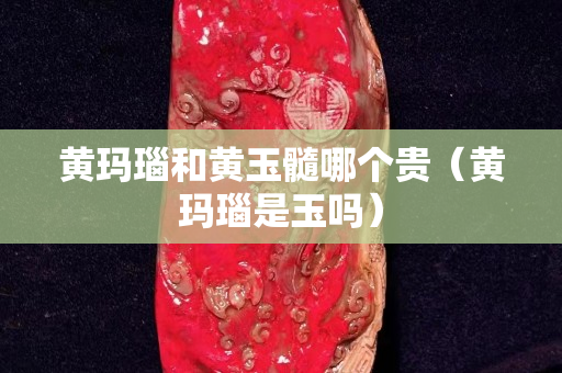 黄玛瑙和黄玉髓哪个贵（黄玛瑙是玉吗）
