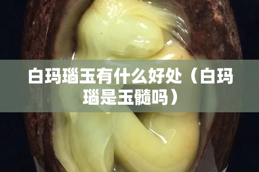 白玛瑙玉有什么好处（白玛瑙是玉髓吗）