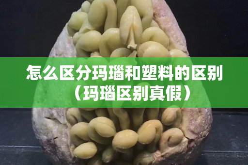 怎么区分玛瑙和塑料的区别（玛瑙区别真假）