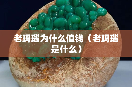老玛瑙为什么值钱（老玛瑙是什么）
