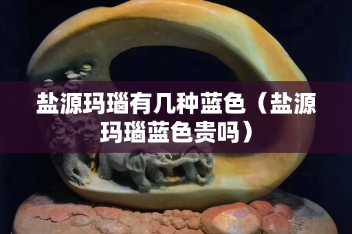 盐源玛瑙有几种蓝色（盐源玛瑙蓝色贵吗）
