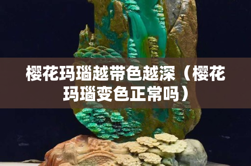 樱花玛瑙越带色越深（樱花玛瑙变色正常吗）