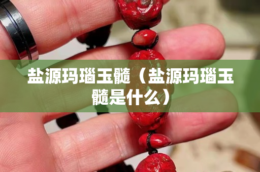 盐源玛瑙玉髓（盐源玛瑙玉髓是什么）