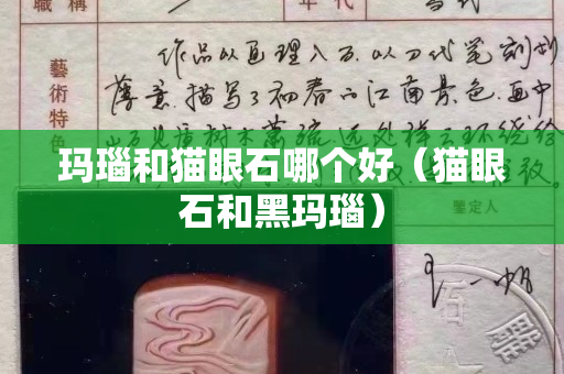玛瑙和猫眼石哪个好（猫眼石和黑玛瑙）