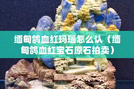 缅甸鸽血红玛瑙怎么认（缅甸鸽血红宝石原石拍卖）
