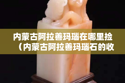内蒙古阿拉善玛瑙在哪里捡（内蒙古阿拉善玛瑙石的收藏价值）