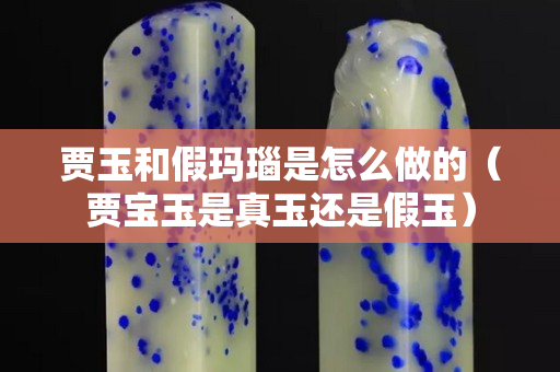 贾玉和假玛瑙是怎么做的（贾宝玉是真玉还是假玉）