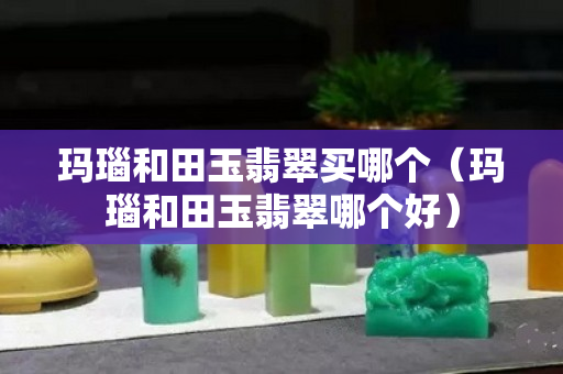 玛瑙和田玉翡翠买哪个（玛瑙和田玉翡翠哪个好）
