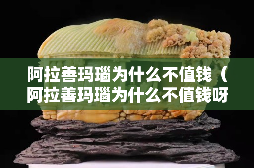 阿拉善玛瑙为什么不值钱（阿拉善玛瑙为什么不值钱呀）