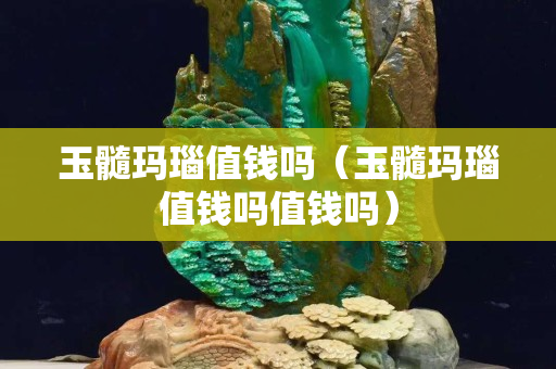 玉髓玛瑙值钱吗（玉髓玛瑙值钱吗值钱吗）