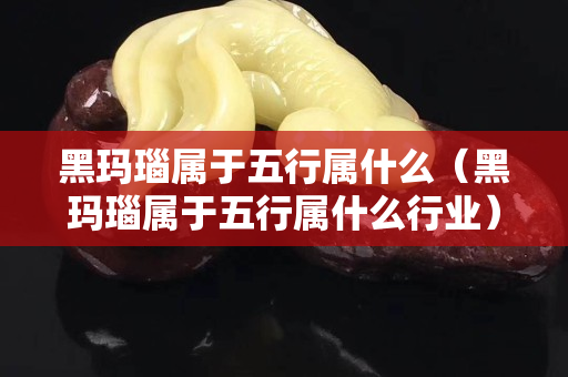 黑玛瑙属于五行属什么（黑玛瑙属于五行属什么行业）