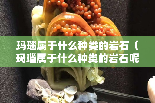 玛瑙属于什么种类的岩石（玛瑙属于什么种类的岩石呢）