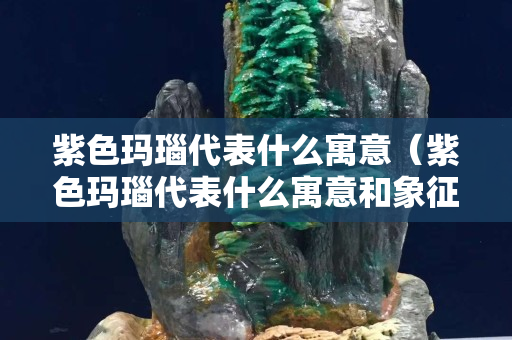 紫色玛瑙代表什么寓意（紫色玛瑙代表什么寓意和象征）