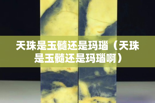 天珠是玉髓还是玛瑙（天珠是玉髓还是玛瑙啊）