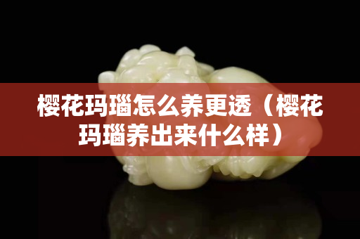 樱花玛瑙怎么养更透（樱花玛瑙养出来什么样）