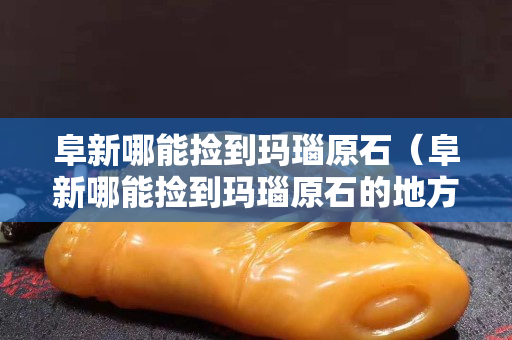阜新哪能捡到玛瑙原石（阜新哪能捡到玛瑙原石的地方）