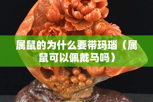 属鼠的为什么要带玛瑙（属鼠可以佩戴马吗）