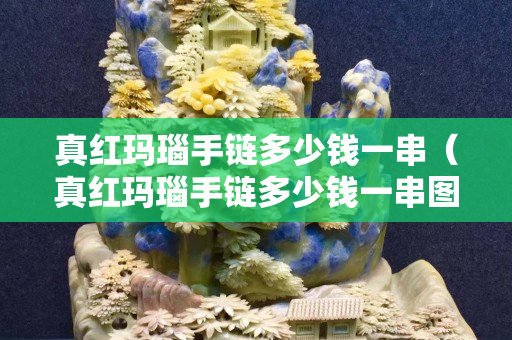 真红玛瑙手链多少钱一串（真红玛瑙手链多少钱一串图片）
