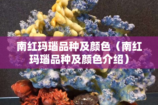 南红玛瑙品种及颜色（南红玛瑙品种及颜色介绍）