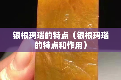 银根玛瑙的特点（银根玛瑙的特点和作用）