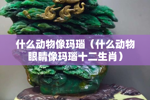 什么动物像玛瑙（什么动物眼睛像玛瑙十二生肖）