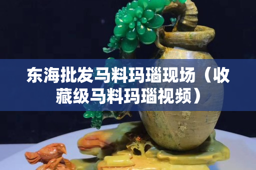 东海批发马料玛瑙现场（收藏级马料玛瑙视频）