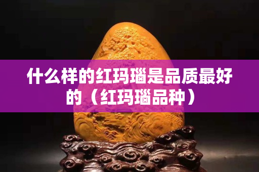 什么样的红玛瑙是品质最好的（红玛瑙品种）