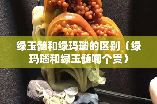 绿玉髓和绿玛瑙的区别（绿玛瑙和绿玉髓哪个贵）