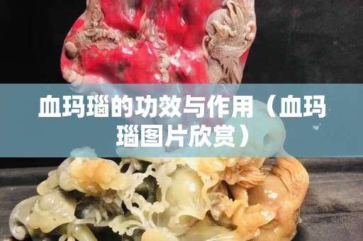 血玛瑙的功效与作用（血玛瑙图片欣赏）