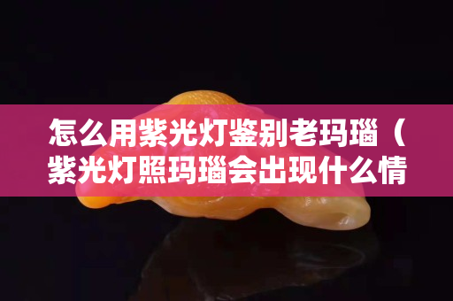 怎么用紫光灯鉴别老玛瑙（紫光灯照玛瑙会出现什么情况？）