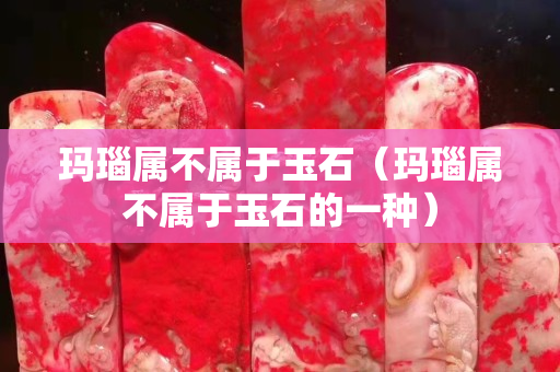 玛瑙属不属于玉石（玛瑙属不属于玉石的一种）