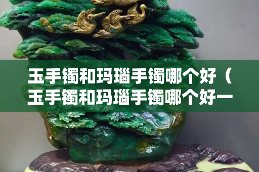 玉手镯和玛瑙手镯哪个好（玉手镯和玛瑙手镯哪个好一些）