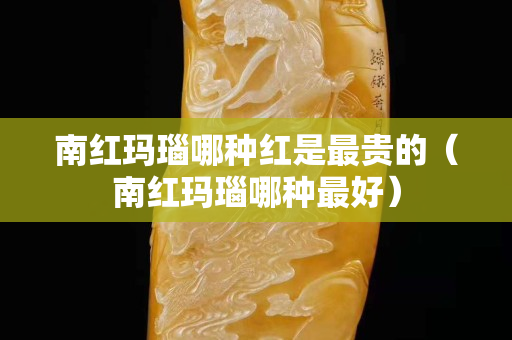 南红玛瑙哪种红是最贵的（南红玛瑙哪种最好）